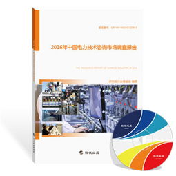 2016年中國電力技術(shù)咨詢市場調(diào)查報(bào)告